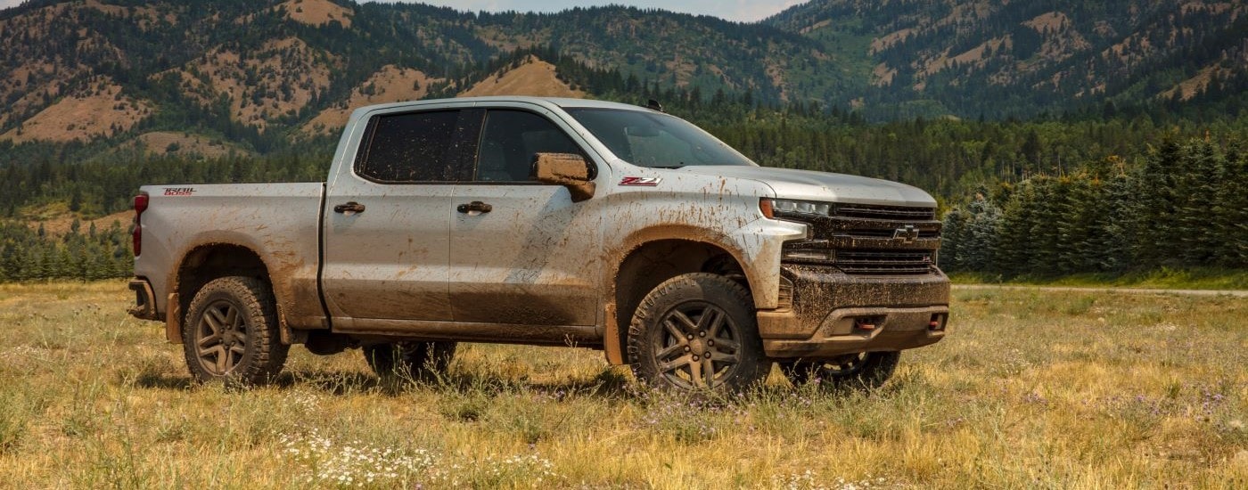 Silver 2019 Chevy Silverado 1500 Trail Boss parked off-road