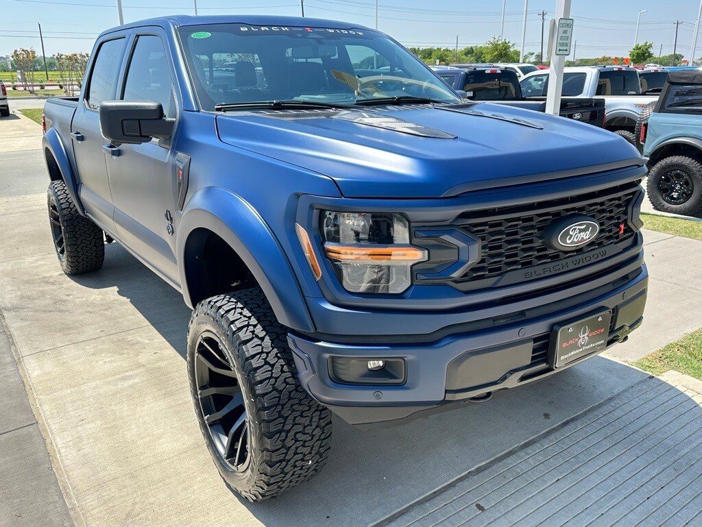 2025 Ford F-150 XLT photo 3