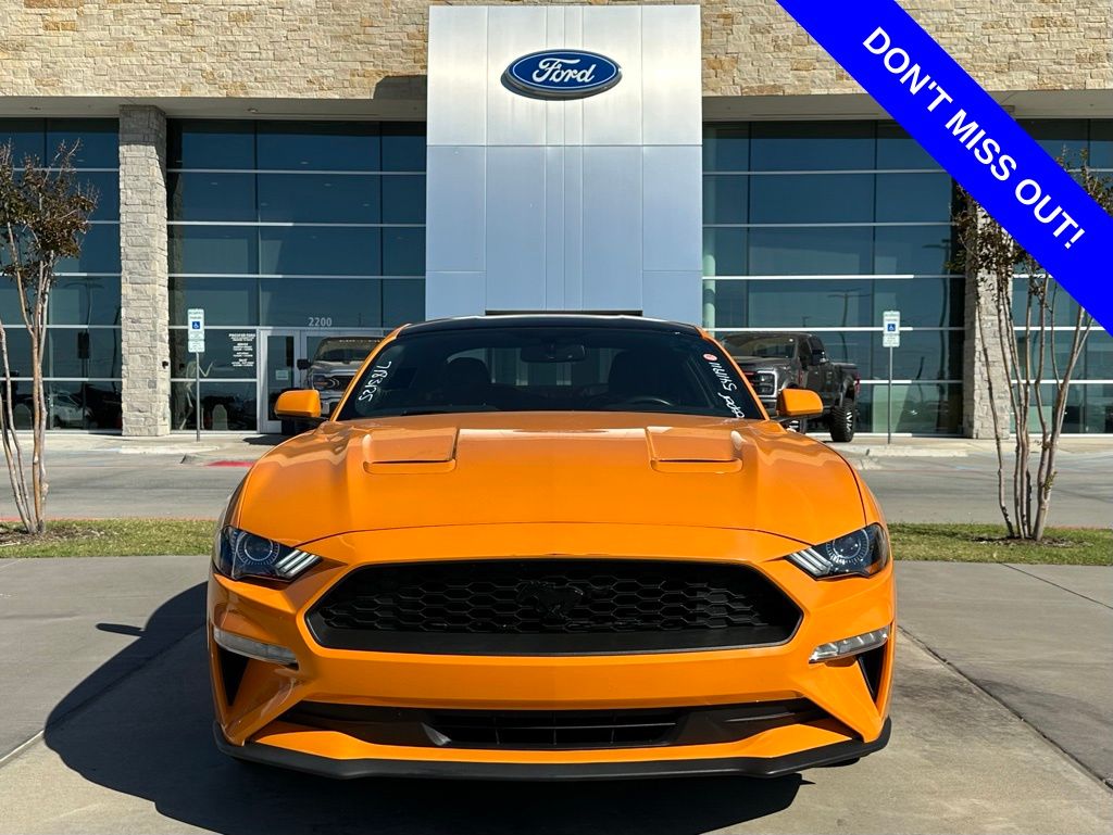 2019 Ford Mustang EcoBoost photo 2