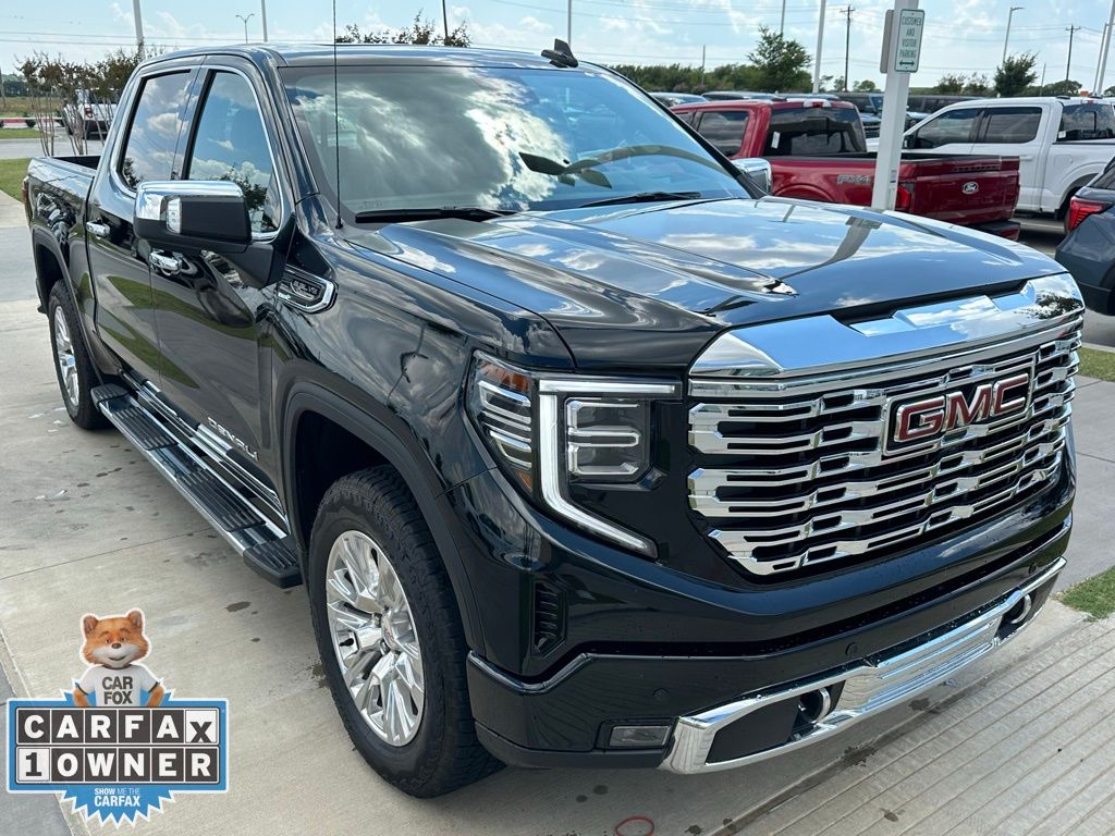 2025 Gmc Sierra 1500 Denali photo 3