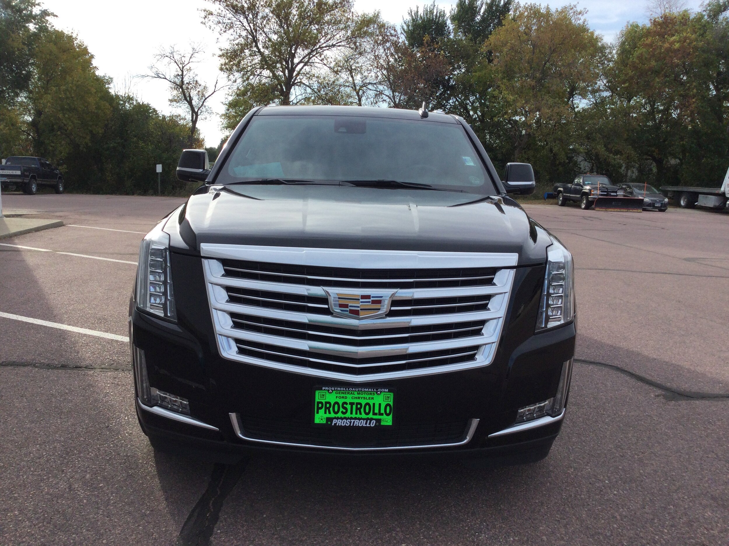 2020 Cadillac Escalade ESV Platinum photo 3