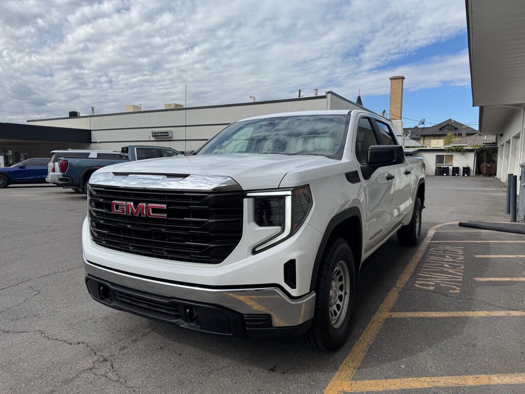 2023 Gmc Sierra 1500 Pro photo 3