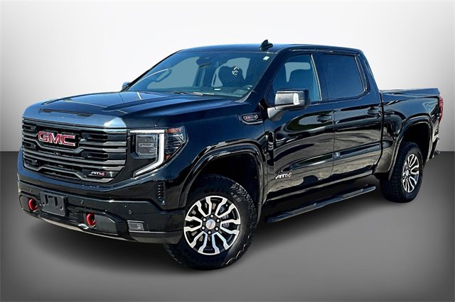 2023 Gmc Sierra 1500 AT4 photo 3