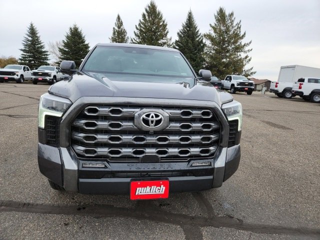 2025 Toyota Tundra Platinum photo 2