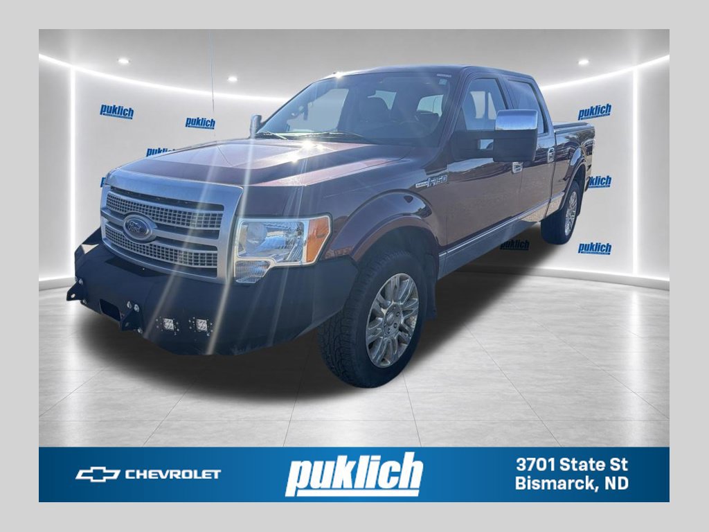 2009 Ford F-150 Platinum
