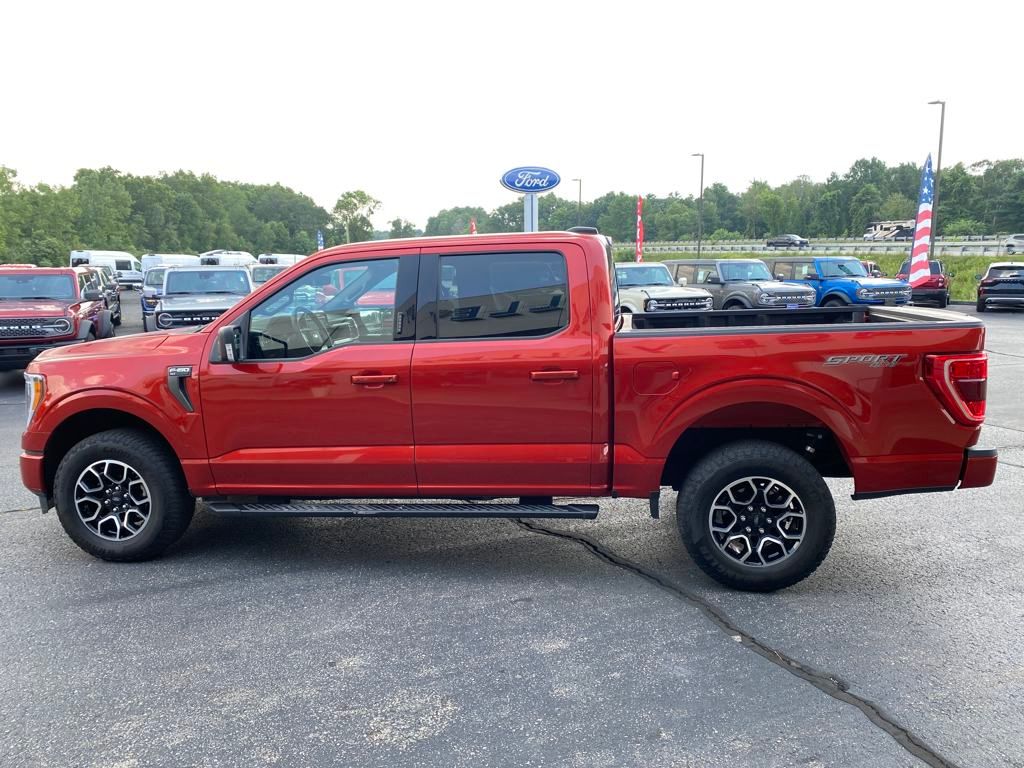 2023 Ford F-150 XLT photo 3