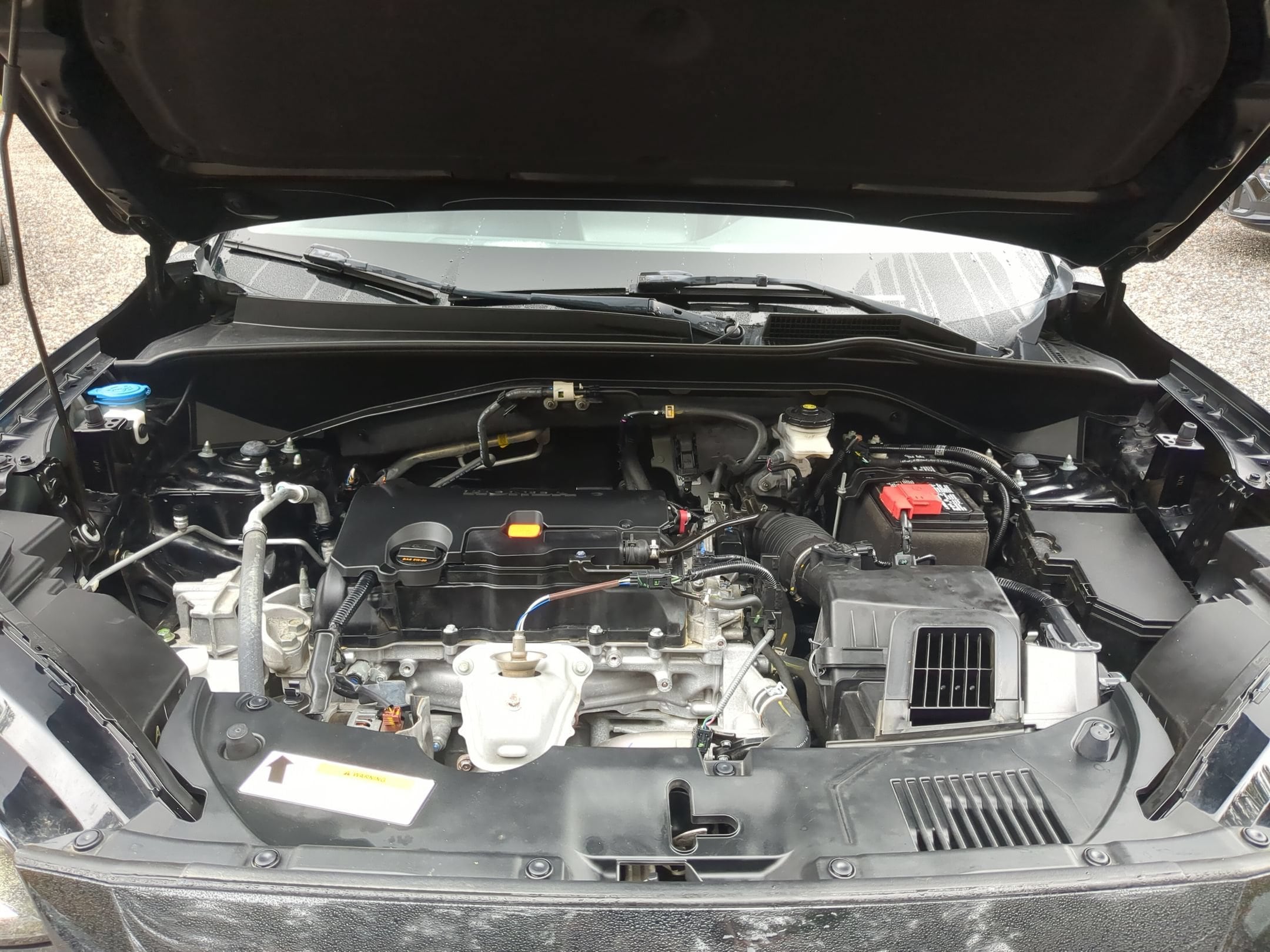 Photo 20