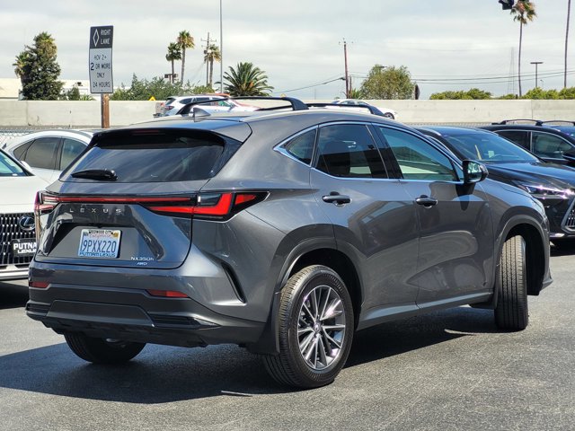 2025 Lexus NX 350h photo 2