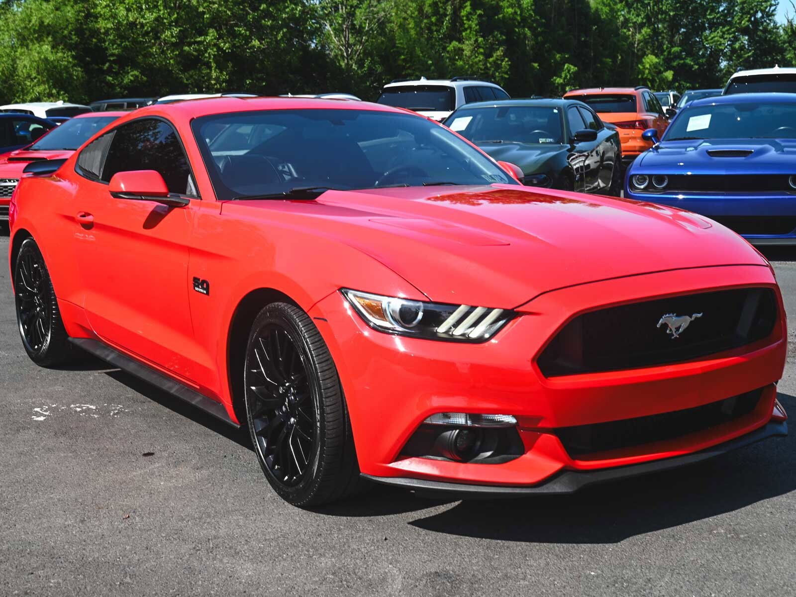 2016 Ford Mustang GT Premium photo 3