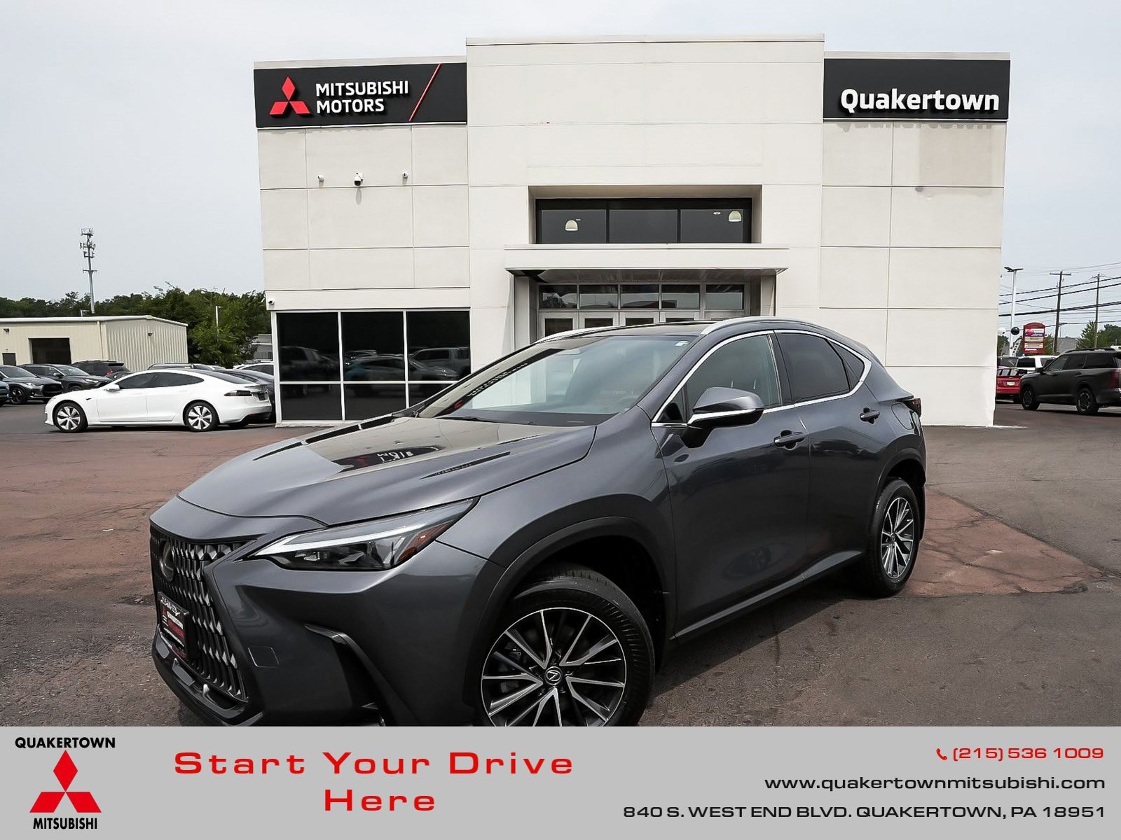 2024 Lexus NX