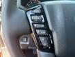 2025 Nissan Frontier PRO-4X Truck Crew Cab