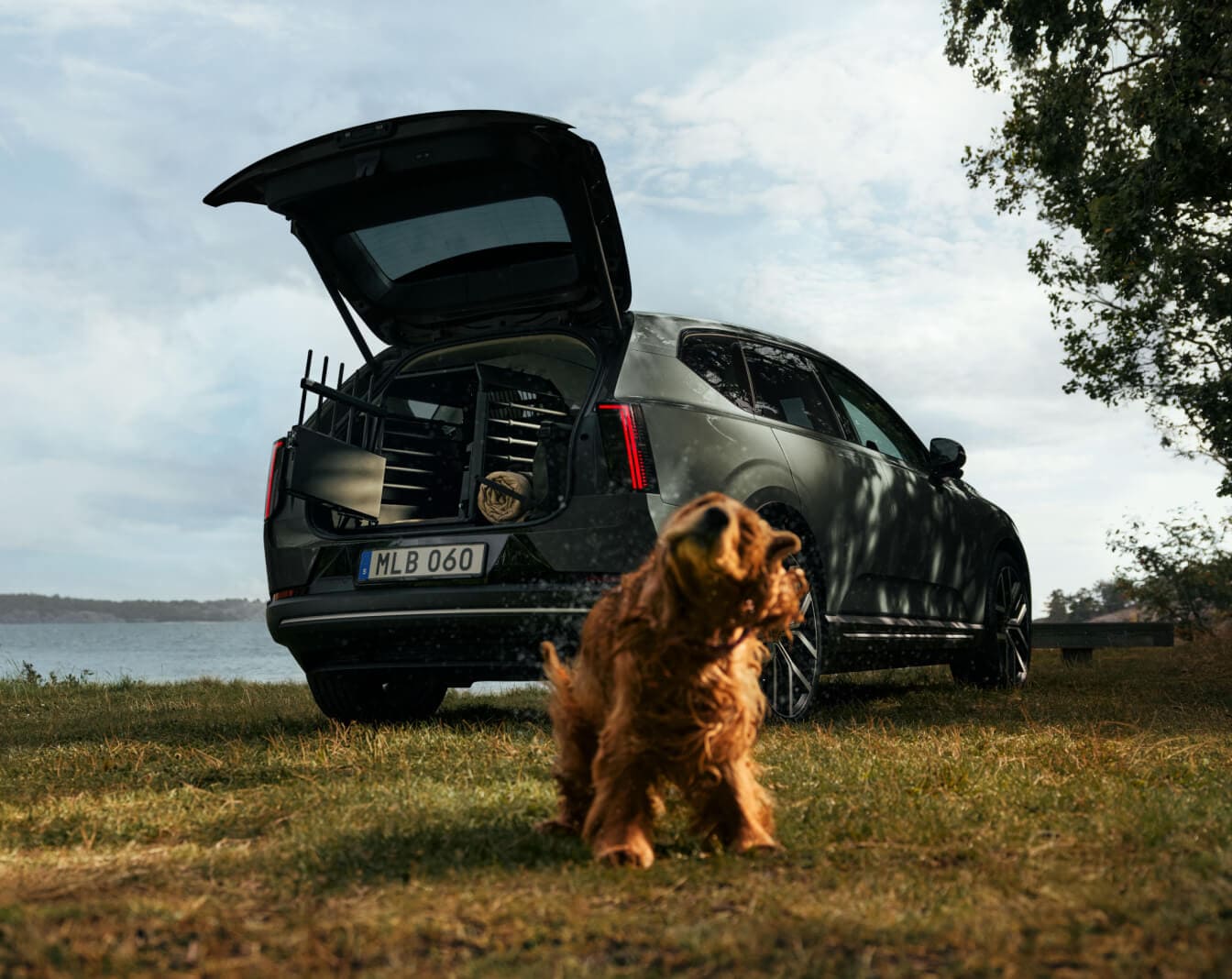 Volvo EX60 Release Date at Quantrell Volvo Cars