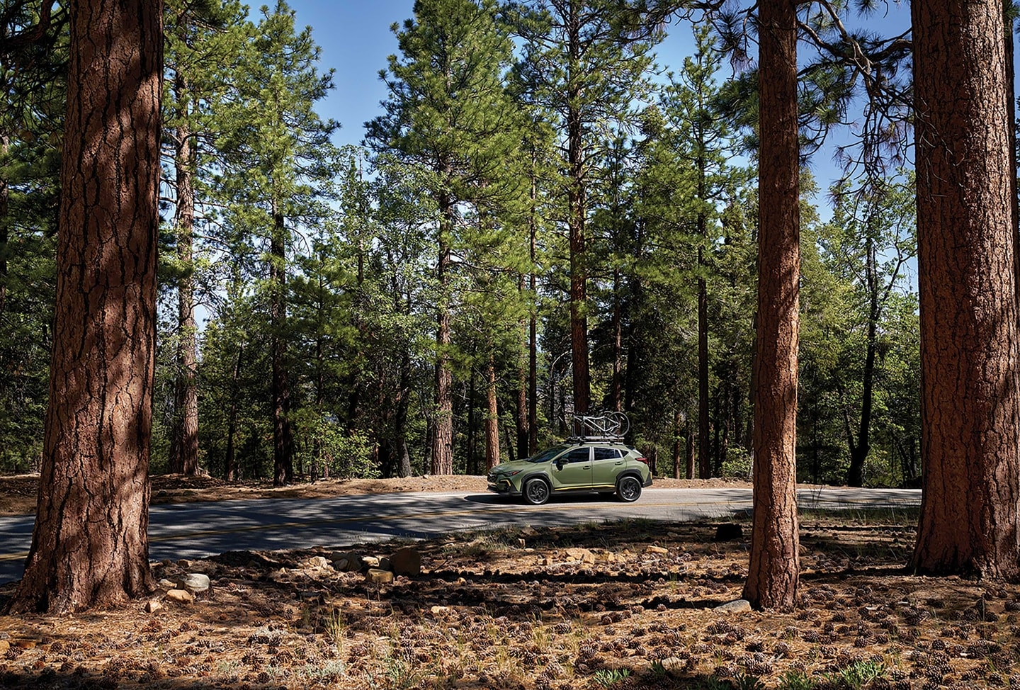  Family riding in vehicle