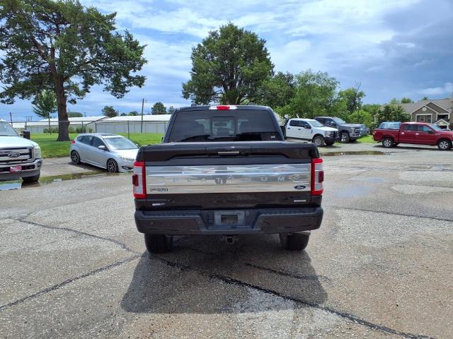 2023 Ford F-150 Platinum photo 4