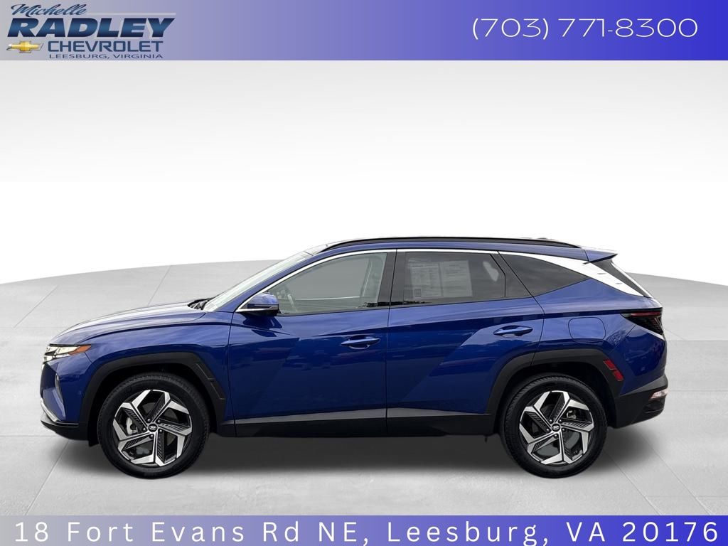 2024 Hyundai Tucson Limited photo 2