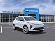  Chevrolet Bolt