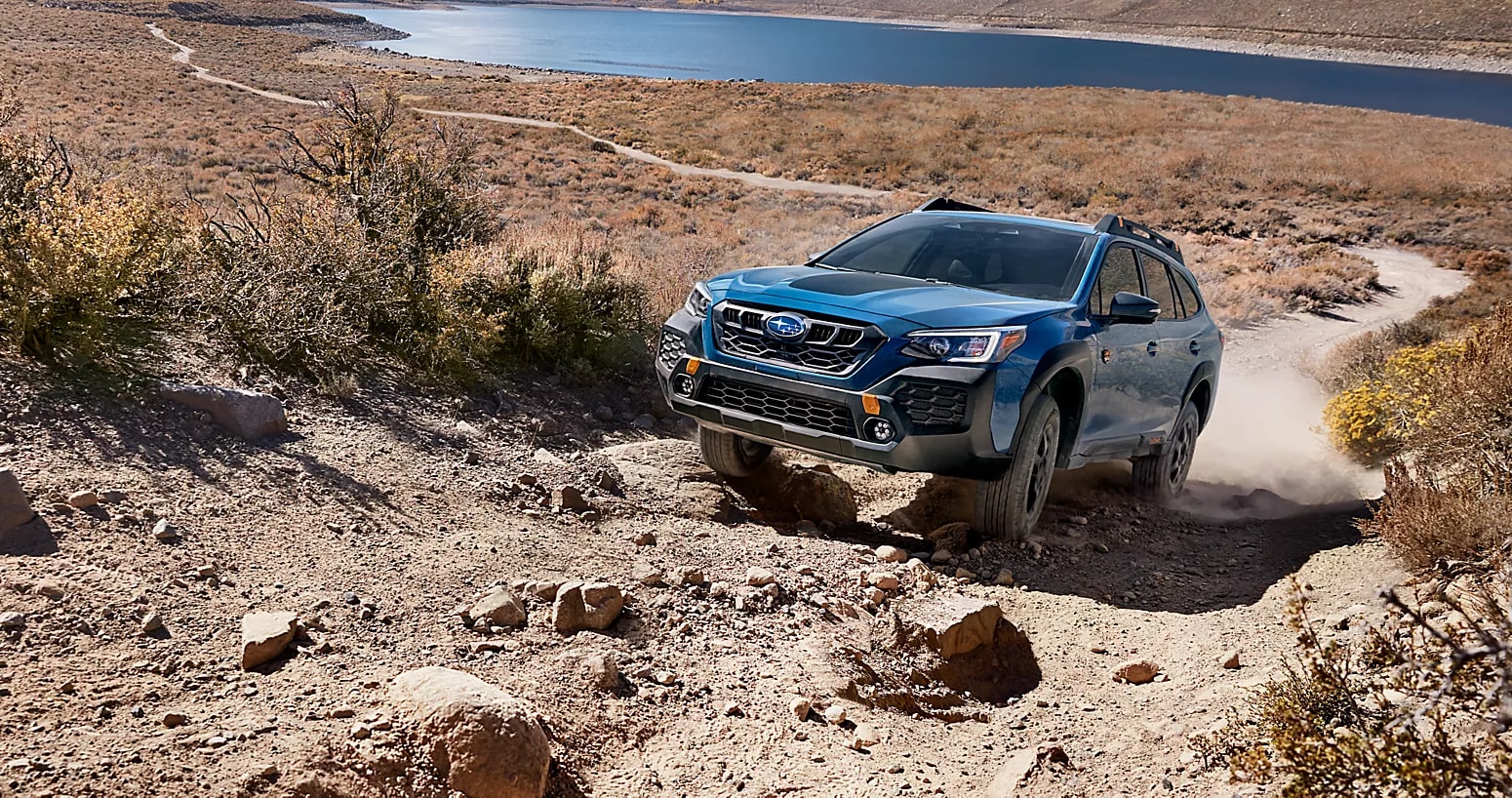 Subaru Wilderness.png