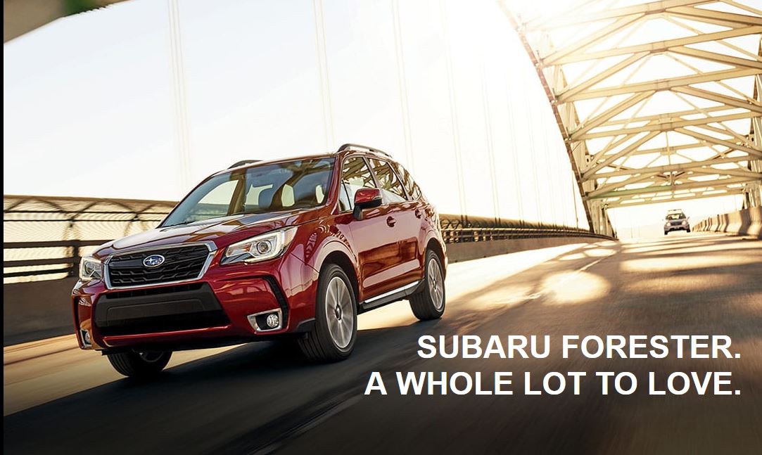2017 FORESTER.JPG