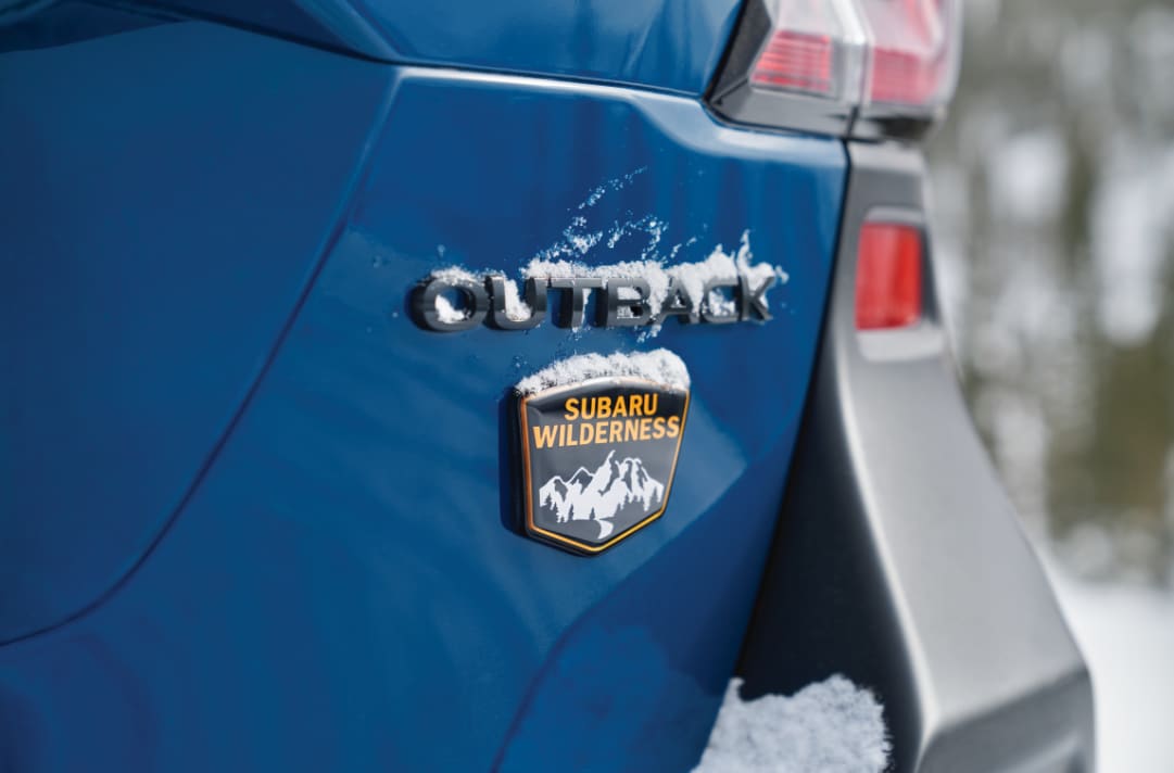 Outback Wilderness logo.png