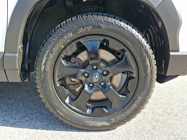 2023 Subaru Forester Wilderness - Photo 10