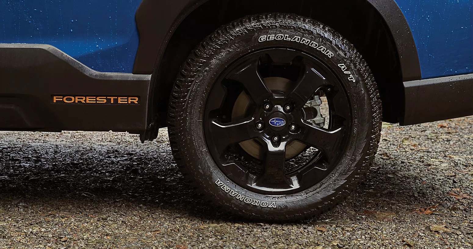 Subaru Wilderness.png