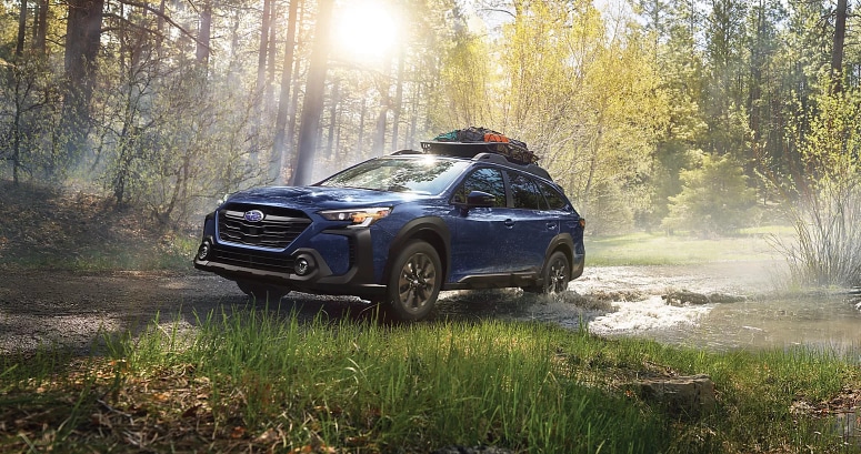 Rafferty Subaru Car.png