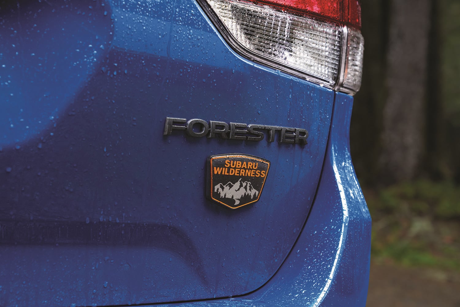 The New 2024 Subaru Forester Rafferty Subaru