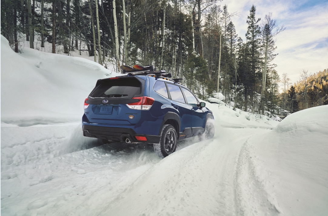 Blue Outback in the snow.png