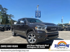 2019 Ram 1500 Limited Truck Crew Cab