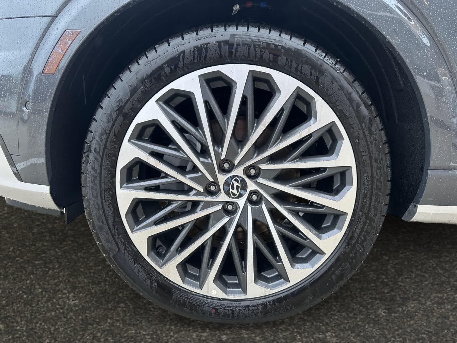 2026 Hyundai Palisade Calligraphy - Photo 14