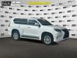 Used 2021 Lexus GX GX 460 Premium