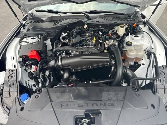 2024 Ford Mustang EcoBoost - Photo 21