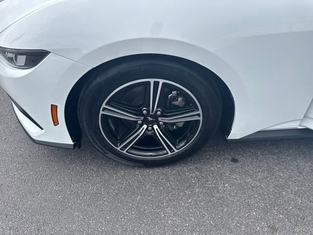 2024 Ford Mustang EcoBoost - Photo 22