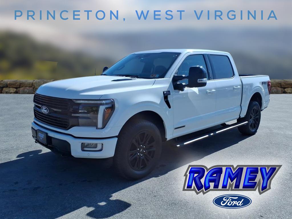 2024 Ford F-150 Platinum's photo