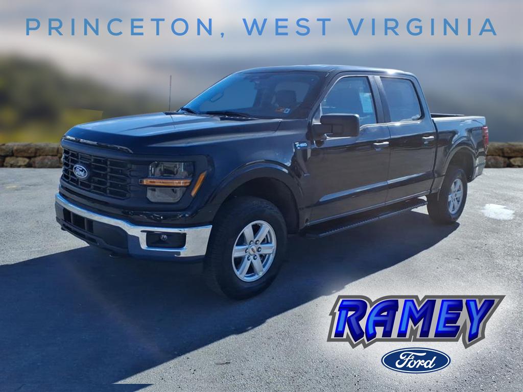 2025 Ford F-150 XL's photo