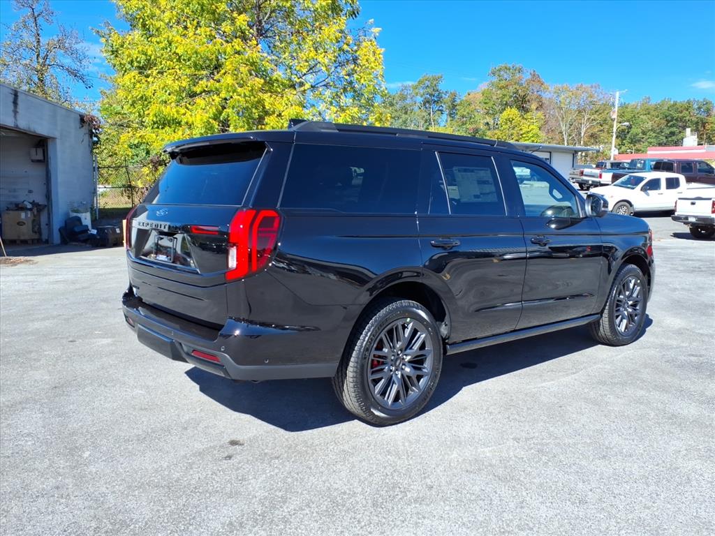 2025 Ford Expedition Platinum photo 3