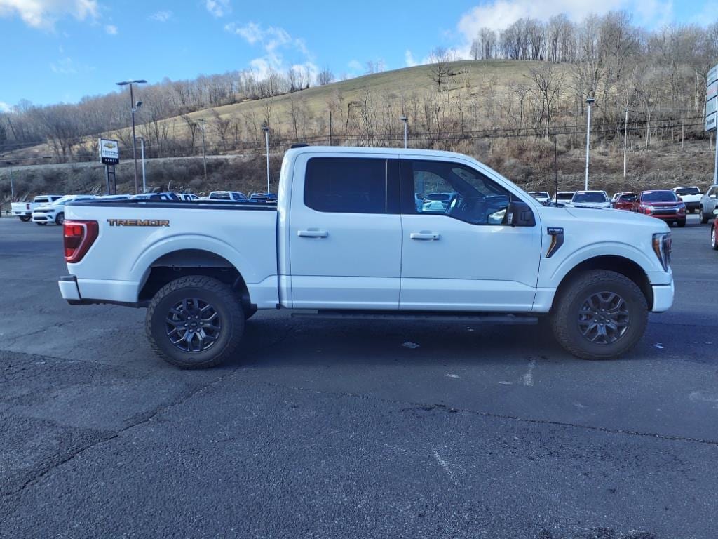 Used 2023 Ford F-150 Tremor with VIN 1FTEW1E85PFA17649 for sale in North Tazewell, VA