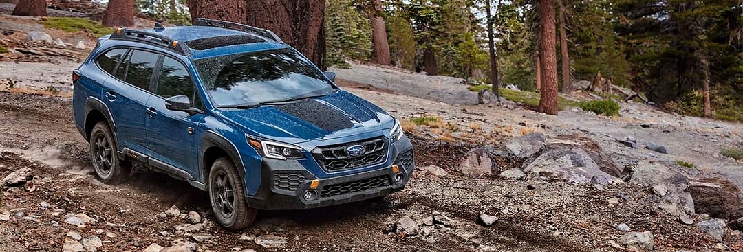 Outback