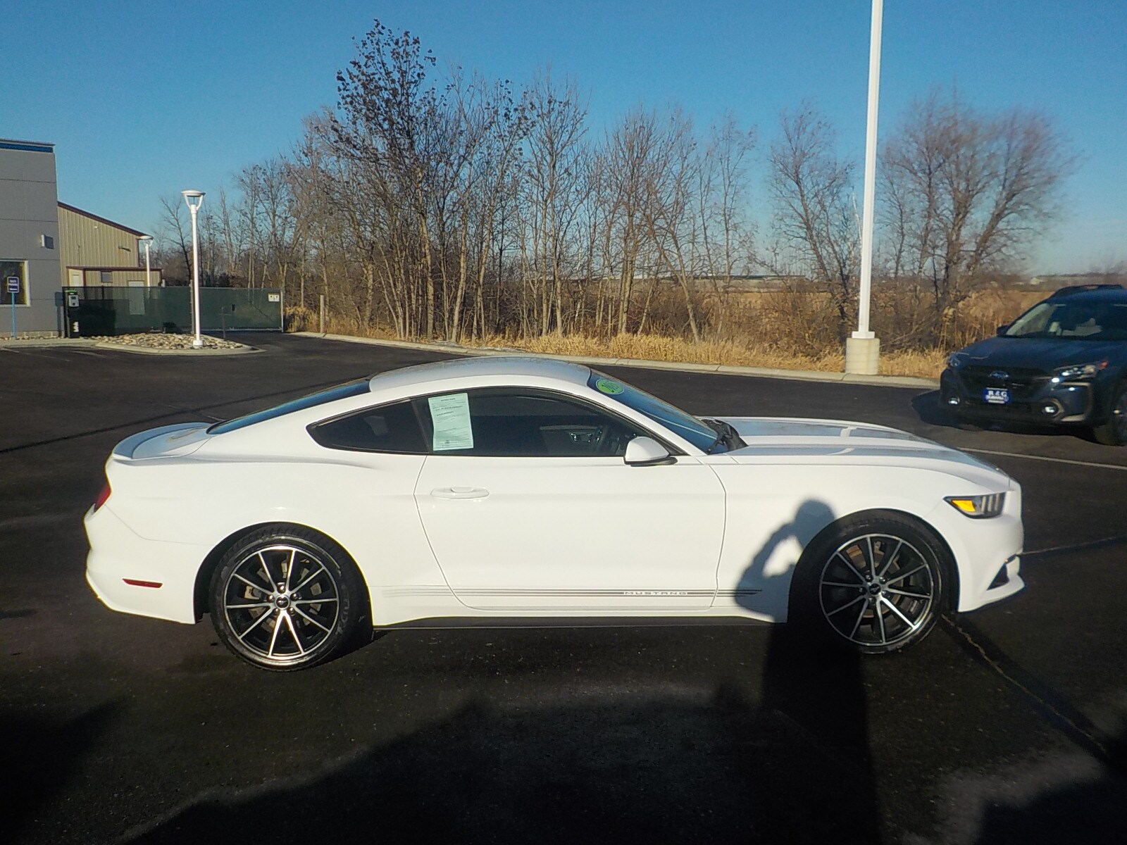 Used 2015 Ford Mustang EcoBoost with VIN 1FA6P8TH2F5338684 for sale in Detroit Lakes, Minnesota