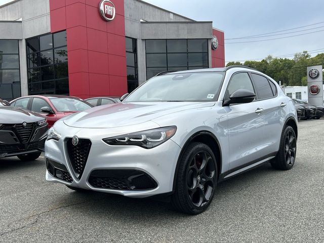 2025 Alfa Romeo Stelvio Stelvio AWD's photo