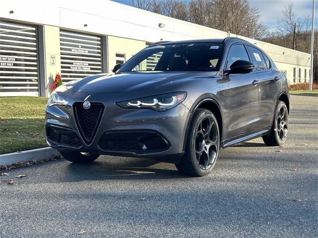 2025 Alfa Romeo Stelvio Base's photo