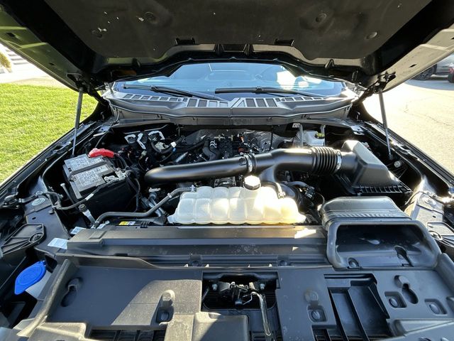 2025 Ford F-150 XLT - Photo 14