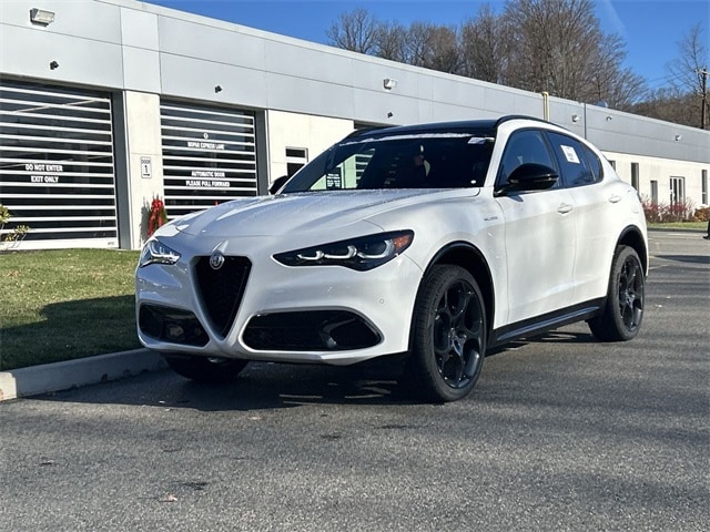 2025 Alfa Romeo Stelvio Base's photo