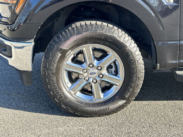 2025 Ford F-150 XLT - Photo 10
