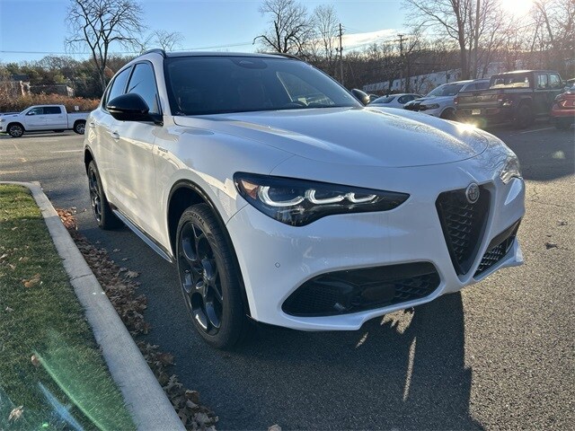 2025 Alfa Romeo Stelvio Sport photo 2