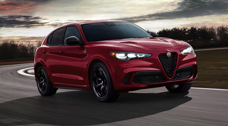2025 Stelvio Quadrifoglio for sale