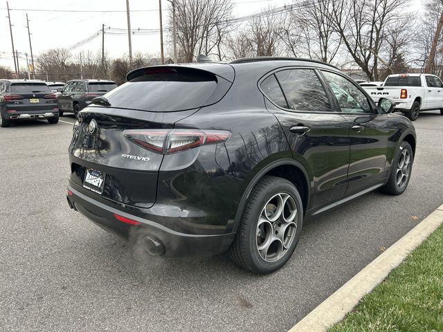 2026 Alfa Romeo Stelvio Base - Photo 8