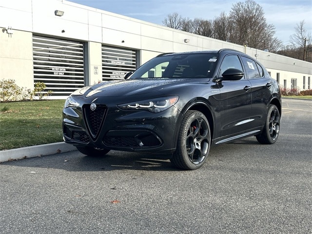 2025 Alfa Romeo Stelvio Base's photo