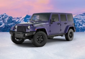 2017 Jeep Wrangler Winter NJ