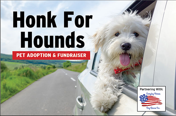Honk-Four-Hounds.jpg